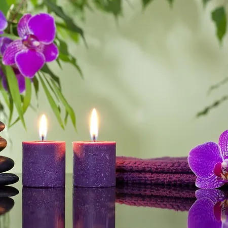 Maison d'hôtes Ecrin D' Castels